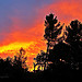 Quand le ciel de la Provence s'enflamme! par Tinou61 - Aix-en-Provence 13100 Bouches-du-Rhône Provence France