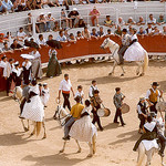 Arles Pre-"course camarguaise" by wanderingYew2 - Arles 13200 Bouches-du-Rhône Provence France