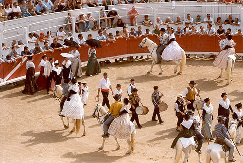 Arles Pre-"course camarguaise" par wanderingYew2