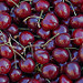 Cerises sur les marchés de provence by Gilles Poyet photographies - Arles 13200 Bouches-du-Rhône Provence France