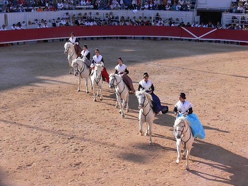 Les Amazones d'Arles à cheval par photojenico