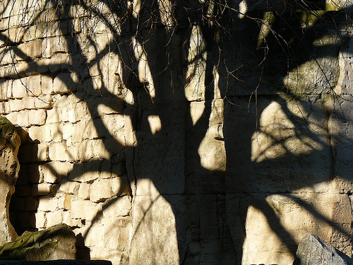 L'ombre dans le mur par Antoine 2011