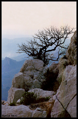 Sainte-victoire janvier 96 par Patchok34