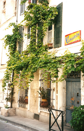 Casanis - Arles par curry15