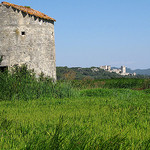 Abbaye de Montmajour as seen from the Mas de Truchet by cefran_other - Arles 13200 Bouches-du-Rhône Provence France