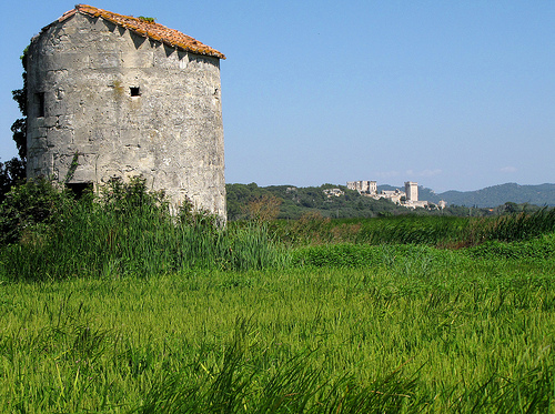 Abbaye de Montmajour as seen from the Mas de Truchet by cefran_other