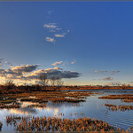 Arles - Le marais de Bauchamp par amcadweb - Arles 13200 Bouches-du-Rhône Provence France