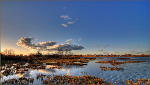 Arles - Le marais de Bauchamp by amcadweb