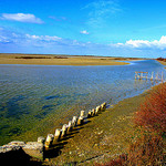 Arrivée en Camargue by cigale4 - Arles 13200 Bouches-du-Rhône Provence France