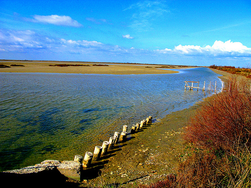 Arrivée en Camargue par cigale4