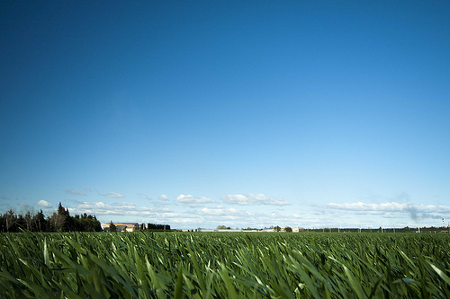 Towards Arles by Andrea Albertino