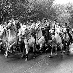 Manade au galop dans les rues d'Arles par roderic alexis beyeler - Arles 13200 Bouches-du-Rhône Provence France