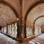Saint-Trophime - cloister re-visited. by Maximus DiFermo - Arles 13200 Bouches-du-Rhône Provence France