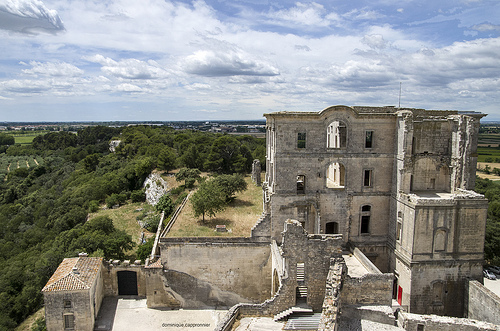 Montmajour abbey - Abbaye de Montmajour by dominique cappronnier