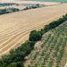 Vue sur la plaine autour de Montmajour by dmirabeau - Arles 13200 Bouches-du-Rhône Provence France