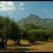Le Mont Garlaban by Patchok34 - Aubagne 13400 Bouches-du-Rhône Provence France