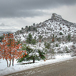 Sainte Baume - Alone in snow! by Josiane D. - Auriol 13390 Bouches-du-Rhône Provence France