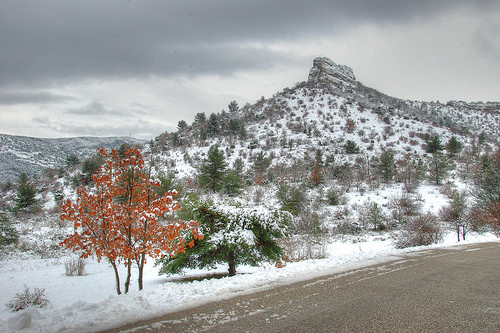 Sainte Baume - Alone in snow! by Josiane D.