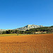 Montagne Ste.Victoire, Beaureceuil by J@nine - Beaurecueil 13100 Bouches-du-Rhône Provence France