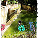 Jardin d'Alberta. De drôles de fleurs! by Tinou61 - Bouc Bel Air 13320 Bouches-du-Rhône Provence France