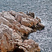 Calanque de Callelongue par DB  Photography - Callelongue 13008 Bouches-du-Rhône Provence France