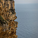 Au bord de la falaise ! par ma_thi_eu - Cassis 13260 Bouches-du-Rhône Provence France