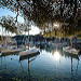 Cassis et ses Calanques par Rémi Avignon - Cassis 13260 Bouches-du-Rhône Provence France