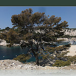 Béatitude dans la calanque de port-miou par laetitiablabla (ramadan mubarak XD) - Cassis 13260 Bouches-du-Rhône Provence France