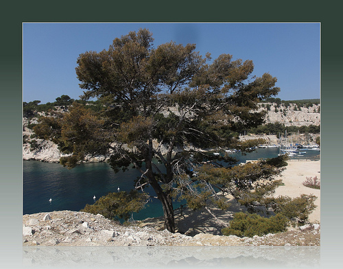 Béatitude dans la calanque de port-miou by laetitiablabla (ramadan mubarak XD)