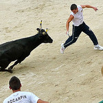 Course camarguaise : so close! par auketts - Fontvieille 13990 Bouches-du-Rhône Provence France