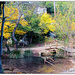 Dans la Forêt de Saint-Pons by Tinou61 - Gémenos 13420 Bouches-du-Rhône Provence France