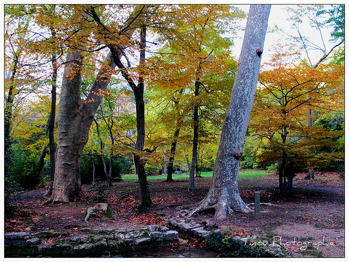 Randonnée dans la forêt de Saint Pons par Tinou61