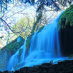 Waterfall et mousses by steph13170 - Gémenos 13420 Bouches-du-Rhône Provence France