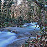 Forêt de Gemenos par steph13170 - Gémenos 13420 Bouches-du-Rhône Provence France