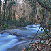 Forêt de Gemenos par steph13170 - Gémenos 13420 Bouches-du-Rhône Provence France