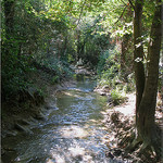 Parc de Saint Pons - Le Fauge by vhsissi - Gémenos 13420 Bouches-du-Rhône Provence France