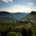 Route menant au col de l'Espigoulier par gantoo - Gémenos 13420 Bouches-du-Rhône Provence France