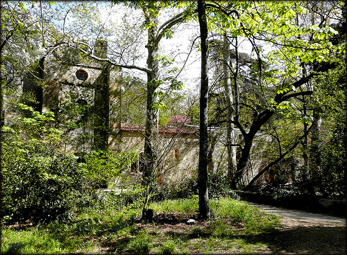 Parc de St Pons : L'abbaye cistercienne, cachée par la verdure par myvalleylil1