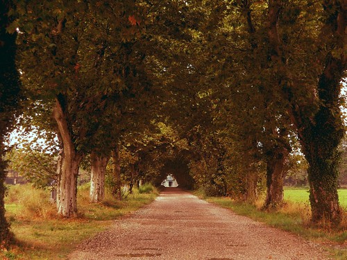 Domaine du Merle par Nora Caracci fotomie2009