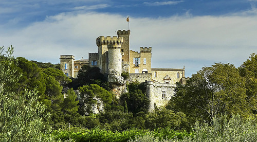 Château de la Barben by mary maa