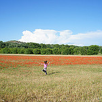 Gentils Coquelicots by sabinelacombe - La Barben 13330 Bouches-du-Rhône Provence France