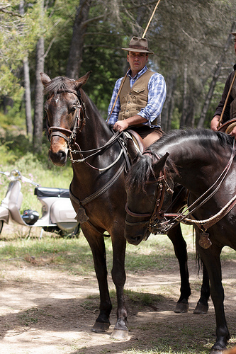 Transhumance rider - tradition par PDGalvin