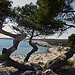 Plage de sainte croix by mary maa - La Couronne 13500 Bouches-du-Rhône Provence France