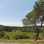 Paysage autour de Lambesc (Nationale 7) par Meteorry - Lambesc 13410 Bouches-du-Rhône Provence France