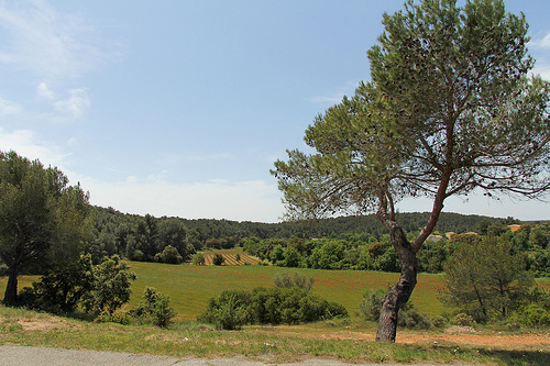 Paysage autour de Lambesc (Nationale 7) by Meteorry