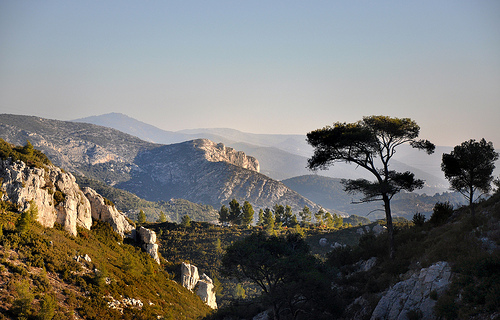 Crêtes - Massif du Garlaban by Charlottess