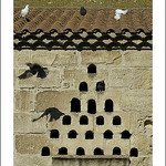 Pigeonnier en Camargue par michel.seguret - Le Sambuc 13200 Bouches-du-Rhône Provence France