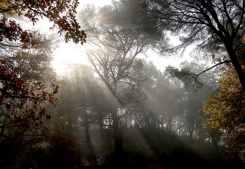 Lumières sur la Sainte-Victoire par Charlottess