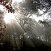 Lumières sur la Sainte-Victoire by Charlottess - Le Tholonet 13100 Bouches-du-Rhône Provence France