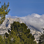 Entre les arbres - Le sommet de la montagne Sainte-Victoire by Charlottess - Le Tholonet 13100 Bouches-du-Rhône Provence France